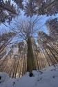 View gallery of Petr Jan Juracka